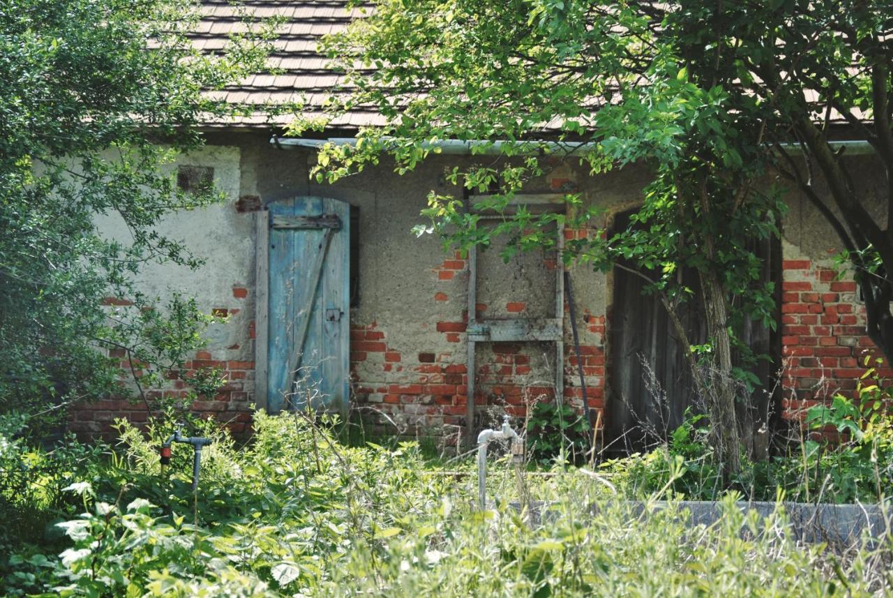 فيلا Ferienhaus Erna Doberlug-Kirchhain المظهر الخارجي الصورة